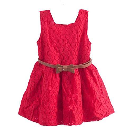 Zeagoo Baby Girls Princess Lace Dress