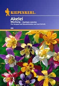Kiepenkerl Akelei-Mischung