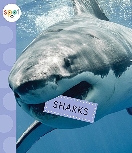 Preisvergleich Produktbild Sharks (Spot Ocean Animals)