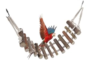 ZYYINI Ptaki drewniana zabawka drabinkowa, wielofunkcyjne ptaki, drewniana drabina, most, huśtawka, zabawki szkoleniowe dla zakochanych, papug, afrykańskich szarych nimfów