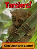 Image de Tarsiers! Learn About Tarsiers and Enjoy Colorful Pictures - Look and