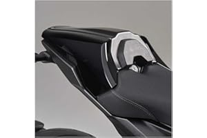 FAYEDENICY Cubierta de la cubierta del asiento individual de la carrera del pasajero trasero de la moto sección trasera del carenado Para CB1000R CB 1000 R CB 1000R 2018 2019 2020 2021 2022 2023 (Negro + Plata)