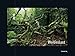 KUNTH Kalender Waldeslust 2015 by