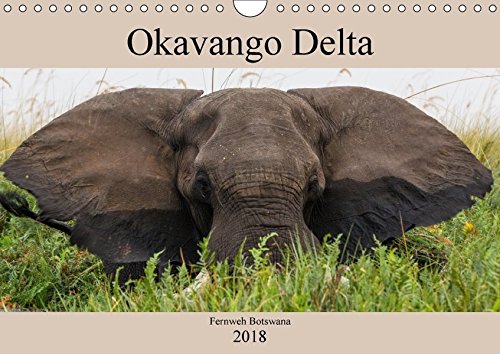 Okavango Delta - Fernweh Botswana (Wandkalender 2018 DIN A4 quer): Eine Reise durch die Xakanaxa-Region im wundervollen Okavango Delta in Botswana (Monatskalender, 14 Seiten ) (CALVENDO Orte)