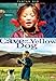 The Cave of the Yellow Dog [DVD] by Babbayar Batchuluun