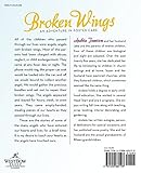 Image de Broken Wings: An Adventure in Foster Care