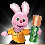 Las pilas Duracell Recargables Plus AA permanecen cargadas durante un máximo de 6 meses