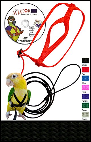 The AVIATOR Pet Bird Harness and Leash: X-Large Black Made in America
