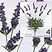 Produktbild FOUR 20" Lavender Artificial Silk Flower Bushes _Purple by Arcadia Silk Plantation