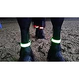 Rutis Horse Leg Stripes LED Fessellbeleuchtung per USB aufladbar (XL, Grün)