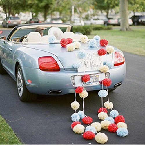 NectaRoy DIY PomPoms Tissue PomPon Papierblume handgefertigt Hochzeit Partei Feier Dekoration für Hochzeit/Gebutztag/Baby Shower/Weihnachten 25cm, 5 Stück Seidenpapier (Weiß) - 6