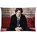 Pillowcases Josh Groban Custom Zippered Pillow Case 20*30 inches (Twin sides)