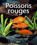 Image de Poissons rouges