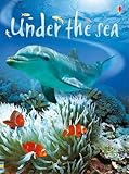 Under The Sea (Beginners Series) by 
