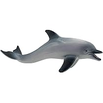 Papo - Realistische Galapagosschildpad figuur - 3 jaar en ouder - Wilde dieren collectie - Educatief spel exotische reptielen - Cadeau-idee speelgoed voor meisjes en jongens