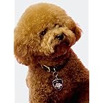 Rantow-regolabile-Durevole-confortevole-collare-di-cuoio-di-base-per-Puppy-Gatti-cani-di-piccola-taglia-collo-di-misura-adattabile-da-95-pollici-a-13-pollici-e-06-pollici-Wide-nero