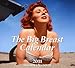 Big Breasts Tear-off Calendar 2011: All international holidays included (Taschen Tear-off Calendars) by