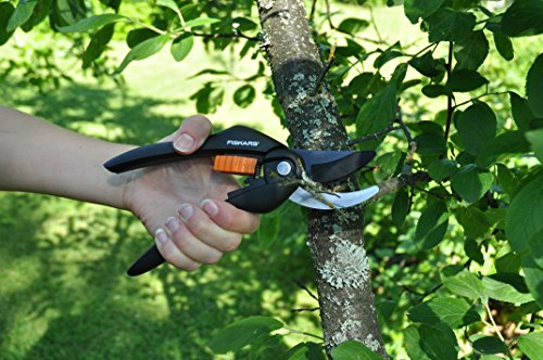 Fiskars Bypass-Gartenschere für frische Äste und Zweige, Antihaftbeschichtet, Hochwertige Stahl-Klingen, Länge 20 cm, Schwarz/Orange, SingleStep, P26, 1000567 - 3