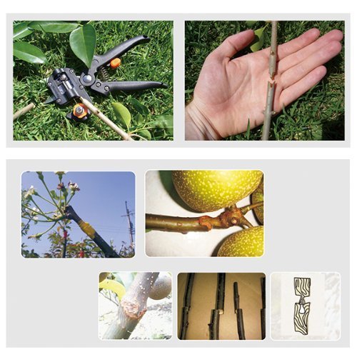 Signstek Einhand-Ratschenschere/ Veredelungsschere, Garten Obstbaum Professionelle Prune Scher Snip Pfropfen Schneidwerkzeug mit 2 Ersatzmesser - 7