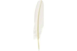 JACQUES HERBIN Herbin 23301ST - Pluma de ganso tallada 21 cm, color blanco