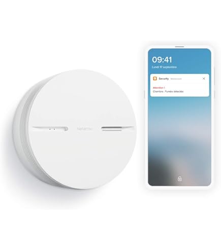 BUSCH-JAEGER 1731-0-2017 PLAQUE DE COMMUTATION ET OBTURATEUR