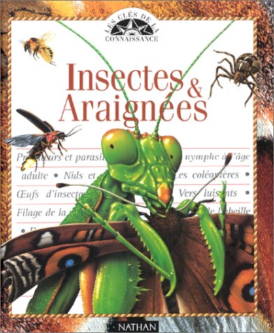 <a href="/node/24629">Les insectes et les araignées</a>