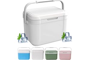 OKESYO Nevera pequeña de 5 litros, nevera pasiva para coche, con asa, nevera para comida y bebida, térmica de hasta 24 h, nevera para coche, camping, picnic, barbacoa