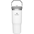 STANLEY IceFlow Stainless Steel Tumbler with Straw - Vacuum Insulated Water Bottle for Home, Office or Car - Reusable Cup with Straw Leak Resistant Flip - Cold for 12 Hours or Iced for 2 Days (Polar)