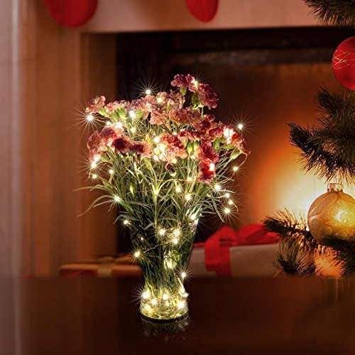 16.4FT (5m) 50er LED Lichterkette Batterienbetrieben Fernbedienung & Timer(8 Modi) IP65 Wasserdicht Sternenlicht für außen und innen - 5