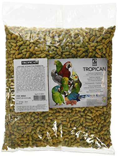 Hari Tropican Parrot Lifetime Stick