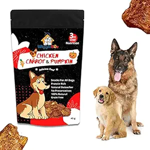 WiggleBoo Chicken, Carrot & Pumpkin Dog Treat | Protein Rich | Natural Detoxifier | 100% Natural Crunchy Snack (45g)
