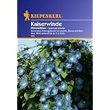Sperli Blumensamen Kaiserwinde Ipomoea tricolor, blau/grün