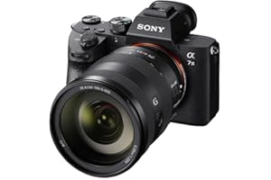 SONY Alpha 7 III + FE 24-105