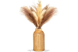 Tiamu Jarrón de Cristal de Hierba de Pampas, Jarrón de floreros para orquídeas Tulipanes, florero Transparente Hecho a Mano de Estilo Bohemio para Decor de Bar de Bodas en jardín(8,5 x 16 x 4,5 cm)