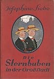 Cover zum Buch Die Sternbuben in der Großstadt