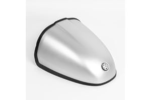 FATEXPRESS Motorrad ordentliche Schwinge hinterer Soziussitz Gugel Abdeckung Buckel Kofferraum Aufbewahrungsbox Verkleidung Heckteil für R9T R Nine T R Ninet RnineT 2014-2020 2021 2022 2023 (Silber)