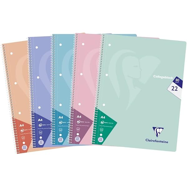 Cahier 5x5 Coloris Aléatoires Oxford Lot De 5 Cahiers A4 100 Pages - Couverture Polypropylène, Pages à Petits Carreaux - Coloris Assortis Cahiers Petits Carreaux - 9