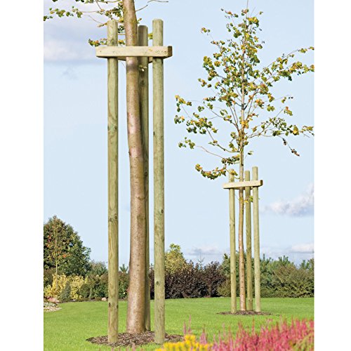 1 St. Baumpfahl Holzpfosten angespitzt ø 6 cm runder Pfosten Länge 125 cm von Gartenpirat®
