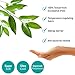 Clevamama Mattress Double Protector (135 x 190 cm, Tencel)