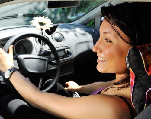 SANDINI Autovase mit Seidenblume/ Kunstblume – Die kultige Blumenvase als Cockpit-Deko – GROSSE AUSWAHL – GRATIS Organzabeutel – Auch für die Verwendung mit echten Blumen geeignet/ Passend für jedes Auto/ Die ideale Geschenkidee zum Valentinstag, Muttertag, Geburtstag, Abschluss, uvm. - 4