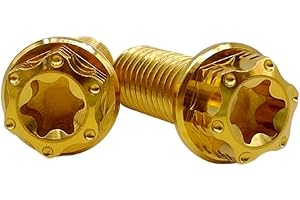 RISON-Titanium 2 Pezzi Viti in Titanio M6 M8 M10, Viti a Flangia Torx Bullone Carrozzeria Moto, Viti di Fissaggio Bulloneria Universale per Honda, Yamaha, Kawasaki, Suzuki