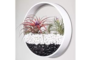 Ecosides Murale Planteur,Mural Pots de Fleurs à Suspendre Métal Ronde Verre Mural Jardinière Mural Vase,pour Artificielles Fleur,Cactus,Succulentes,Décor pour Salon Salle à Manger,Blanc,20 cm