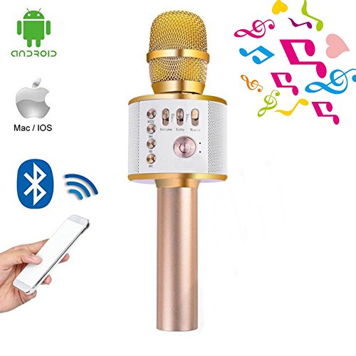 Preisvergleich Produktbild dicn Bluetooth Karaoke Microphone Speaker