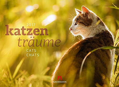 Katzenträume 2017