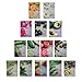 Produktbild Nature Republic Real Nature Mask Sheet 10pcs Original Korean Mask Sheet