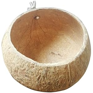 omem Hamster, Hamster Raum, geeignet für, Eichhörnchen, Meerschweinchen, Kaninchen, Syrische Hamster, Reptile Tiere