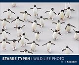 Starke Typen 2012: Welt der Tiere - Wildlife Photography by 