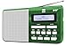 Produktbild Dual DAB 4.1 T Tragbares Digitalradio (UKW/DAB(+)-Tuner, Sendersuchlauffunktion, Festspeichertasten, Kopfhöreranschluss (3,5 mm), LCD-Display) Grün