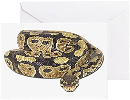 CafePress - Ball Python Photo - Greeting Card (10-pack), Note Card with Blank Inside, Birthday Card Glossy