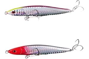 BCZR 2 Pezzi Esche Artificiali Spinning-Artificiali Spinning Mare-Esca Bionica-Accessori per la Pesca-Kit di Esche da Pesca Realistiche per Acqua Dolce e Salata con Scatola（9.5cm/20g）